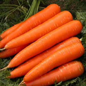 fresh-carrots-fresh-red-carrot-for-sale-1513637912-3529401