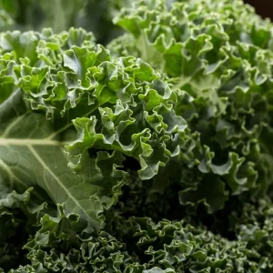 kale-leaves