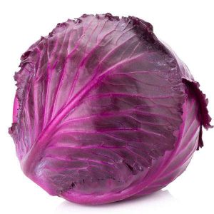 nurserylive-seeds-cabbage-red-imported-vegetable-seeds-16969061499020